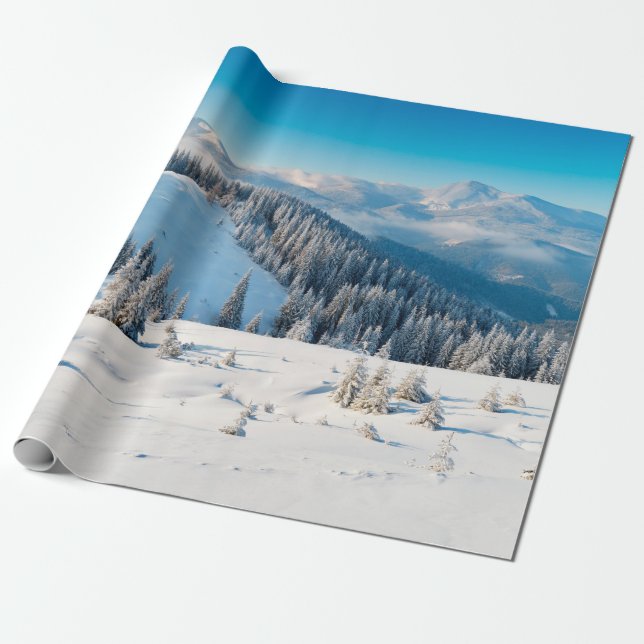 Old grunge wooden texture or background with termi wrapping paper (Unrolled)