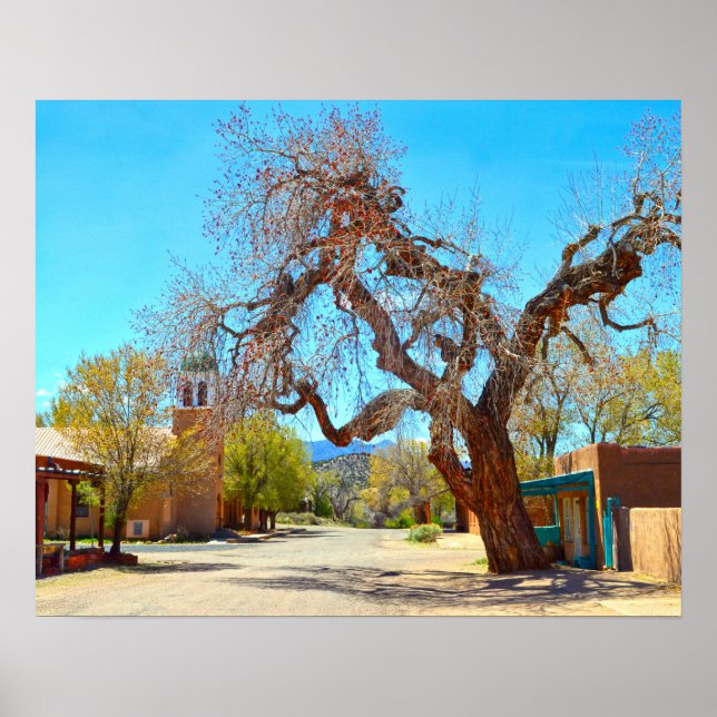 Old Hanging Tree, Cerrillos,  New Mexico Poster (Front)