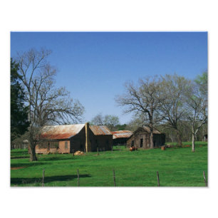 Old Homestead Photo Print