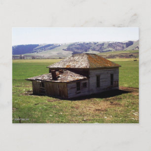 Old Homestead Postcard