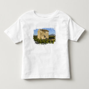 Old house in the Comtat Venaissin, Vaucluse, Toddler T-Shirt