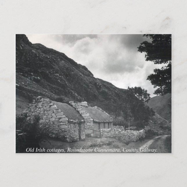 Old Irish thatched cottages, Galway Ireland Postcard (Front)