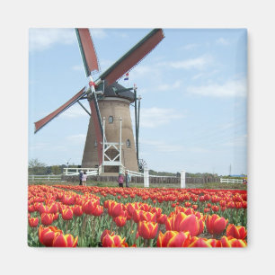 Old Japan Windmill Magnet
