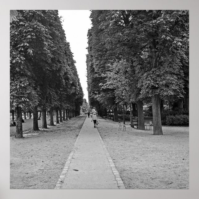 old lady walking at park in paris poster (Front)