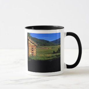Old log homestead near Park City, Utah. (P.R.) Mug