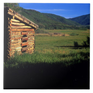 Old log homestead near Park City, Utah. (P.R.) Tile