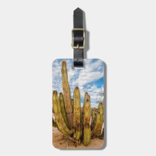 Old Man Cactus portrait, Mexico Luggage Tag