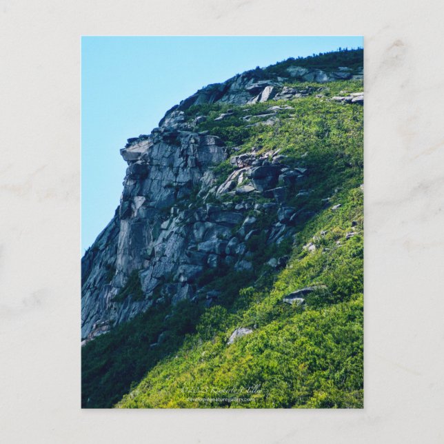 Old Man of the Mountain, Summer, P2279 Postcard (Front)