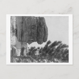"Old Man" of the Park Near Sundance Photograph Postcard