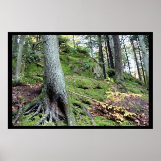 Old Man's Cave Ridge #1 Poster