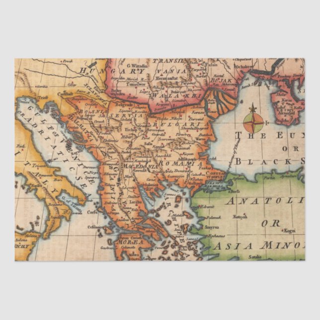 Old Maps Pattern Tissue Paper (Front)