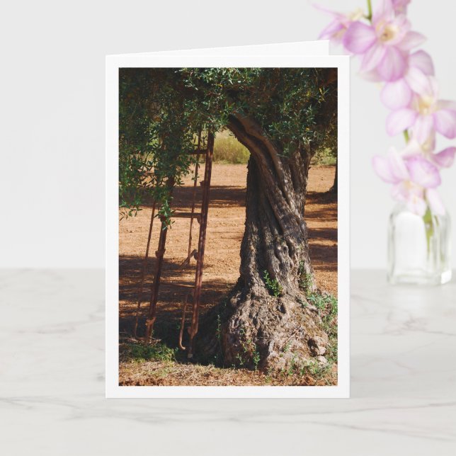 Old Metal Ladder against Olive Tree Card (Orchid)