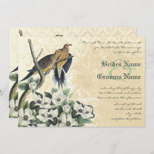 OLD MONEY, LOVE BIRDS, INVITATION