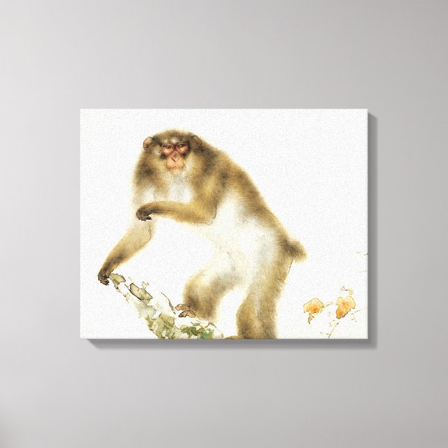 Old Monkey with Cherry in Autumn Canvas Print (Front)