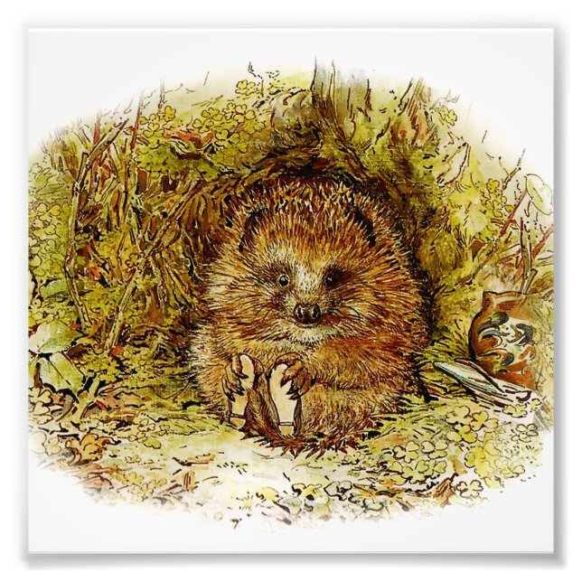 “Old Mr Pricklepin” by Beatrix Potter Photo Print (Front)