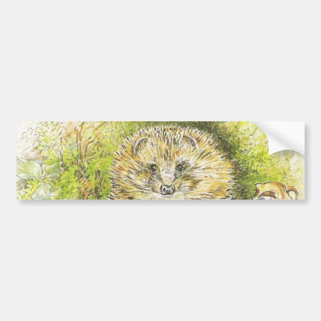 Old Mr Prickly Pin (Hedgehog) (by Beatrix Potter) Bumper Sticker (Front)