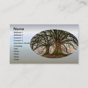 Old Oak Tree in Winter Business Card