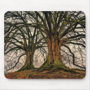 Old Oak Tree in Winter Mouse Mat