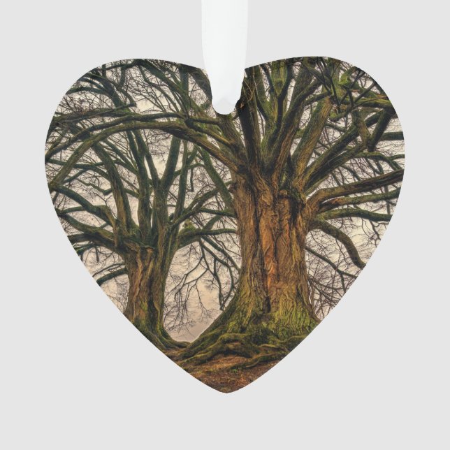 Old Oak Tree in Winter Ornament (Front)