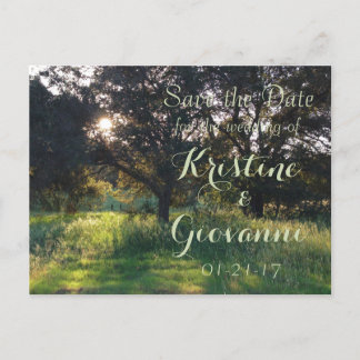 Old Oak Tree - Save the Date Announcement Postcard