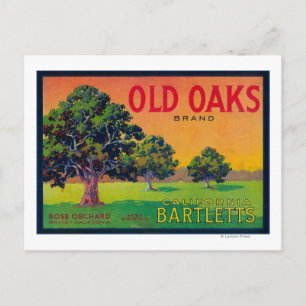 Old Oaks Pear Crate LabelBryte, CA Postcard