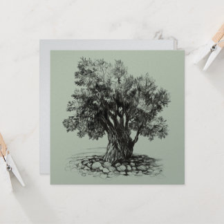Old olive tree