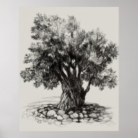 Old olive tree poster