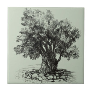 Old olive tree tile