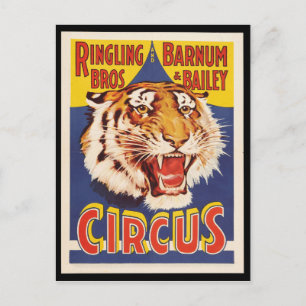 Old original vintage tiger circus poster 1900s postcard