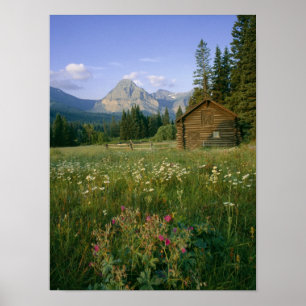 Old Park Service cabin in the Cut Bank Valley Poster