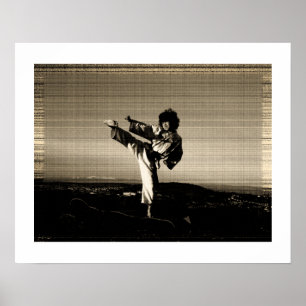 'Old photo' taekwondo poster