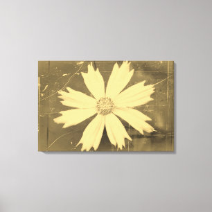 Old photo Yellow Cosmos Flower Close-up 2 Canvas Print