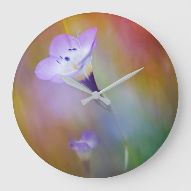 Old Point Loma Lighthouse | Cabrillo Monument Large Clock (Front)