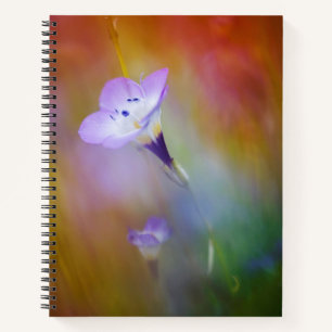 Old Point Loma Lighthouse   Cabrillo Monument Notebook