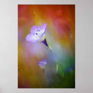 Old Point Loma Lighthouse   Cabrillo Monument Poster