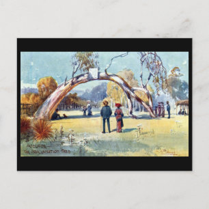 Old Postcard - Adelaide, South Australia