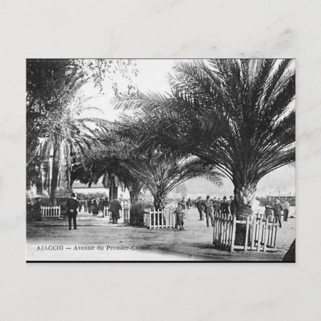 Old Postcard - Ajaccio, Corse (Front)