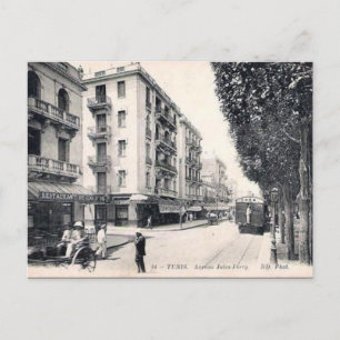 Old Postcard - Ave Jules-Ferry, Tunis