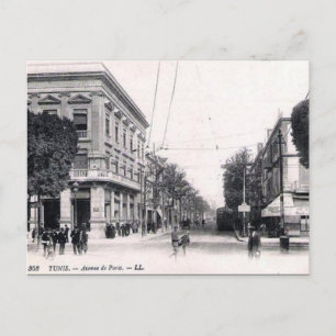 Old Postcard - Avenue de Paris, Tunis