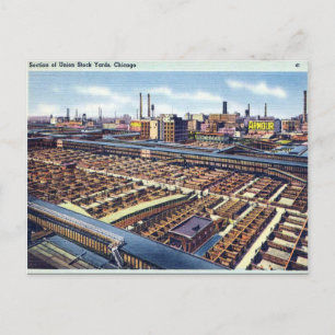 Old Postcard - Chicago, Illinois