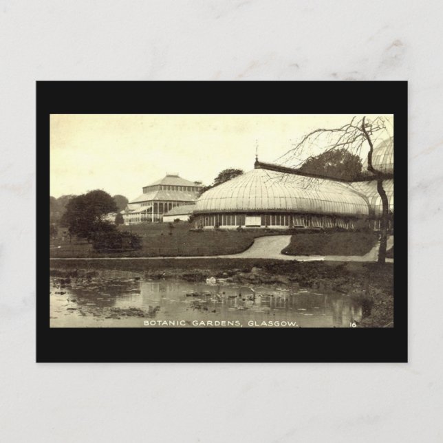 Old Postcard, Glasgow, Botanic Gardens Postcard (Front)