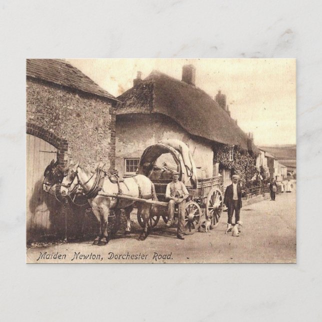 Old Postcard - Maiden Newton, Dorset (Front)