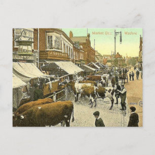 Old Postcard - Market Day, Watford, Herts