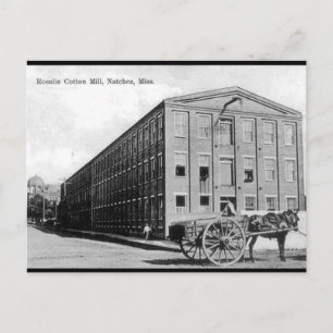 Old Postcard - Natchez, Mississippi