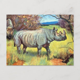 Old Postcard - Rhinoceros