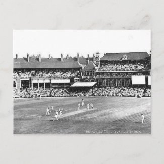 Old Postcard - The Oval Cricket Ground, London