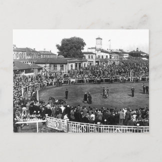 Old Postcard - The Paddock, Doncaster Racecourse