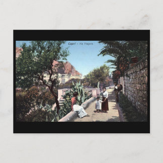 Old Postcard - Via Tragara, Capri, Italy