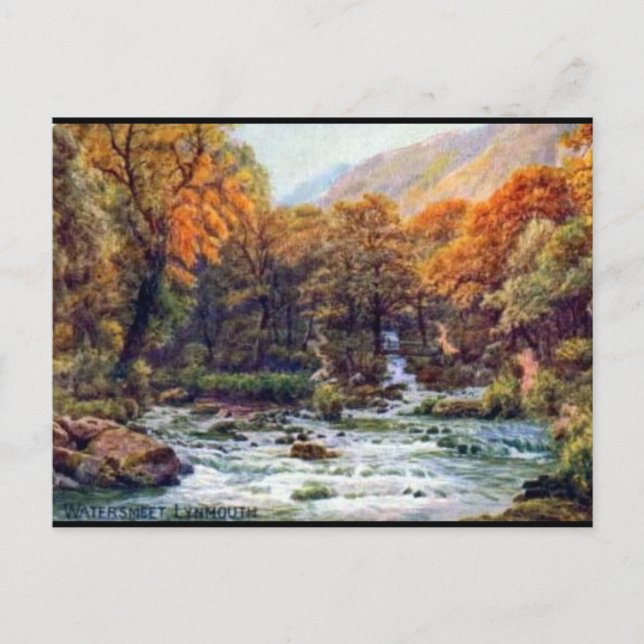 Old Postcard - Watersmeet, Lynmouth, Devon (Front)