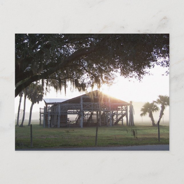 Old ranch building under trees with man statue postcard (Front)